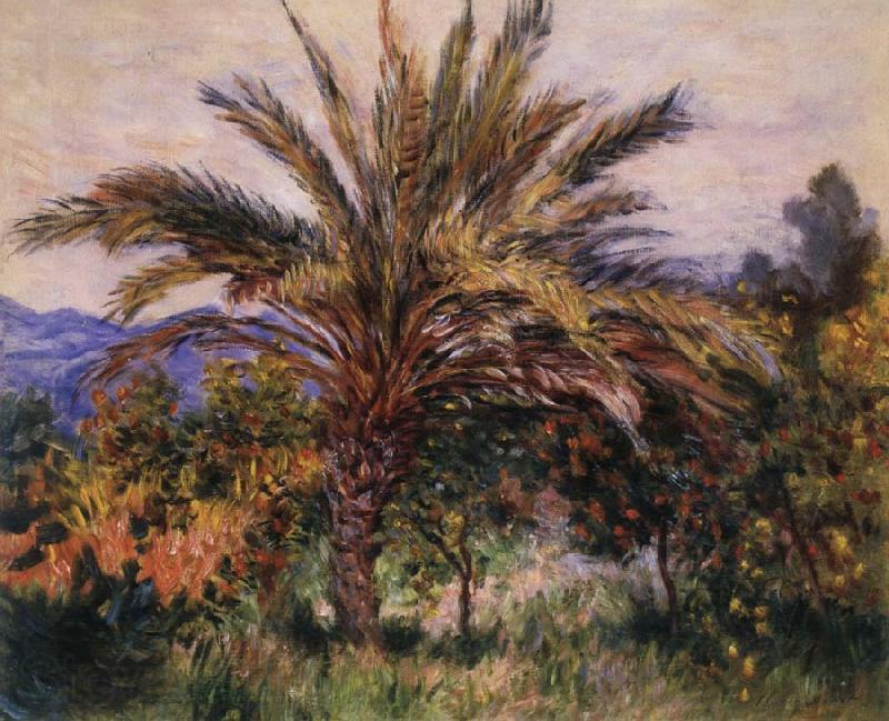 Claude Monet A Palm Tree at Bordighera